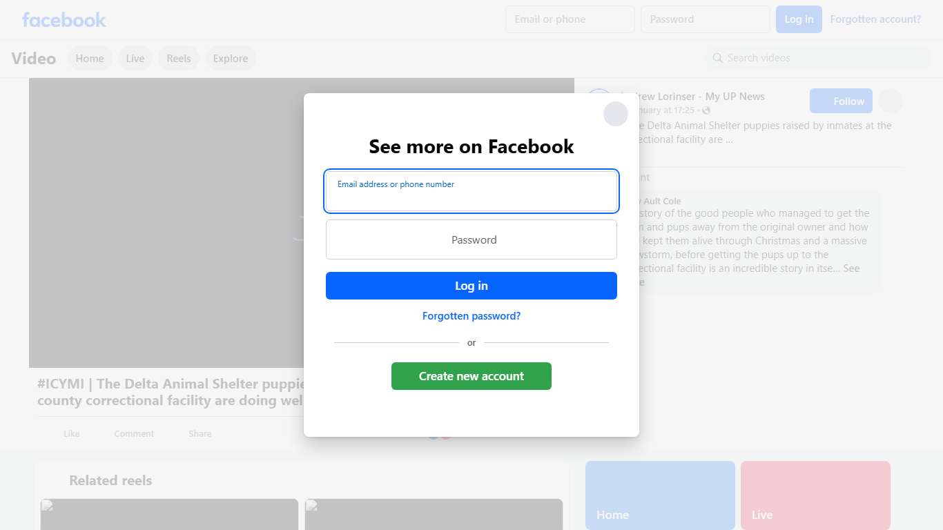#ICYMI The Delta Animal Shelter puppies raised by inmates at the county correctional facility are doing well. bit.ly/MyUPDeltaPup Andrew Lorinser - My UP News Facebook